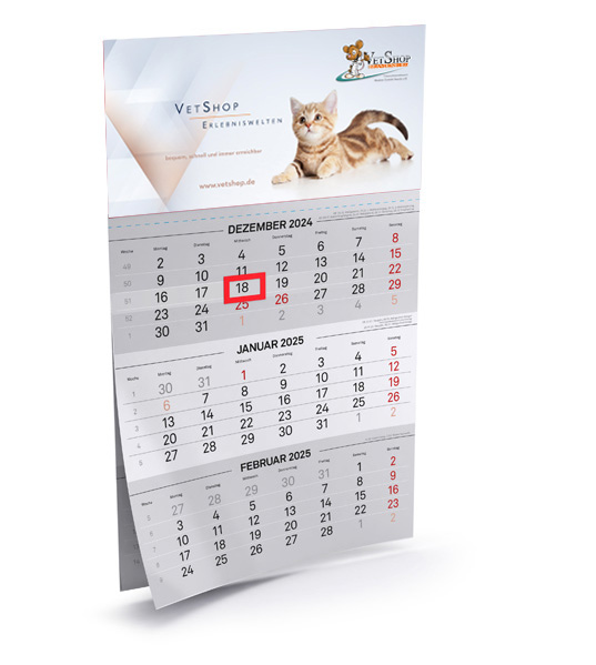 Text, Kalender, Katze, Säugetier, Haustier