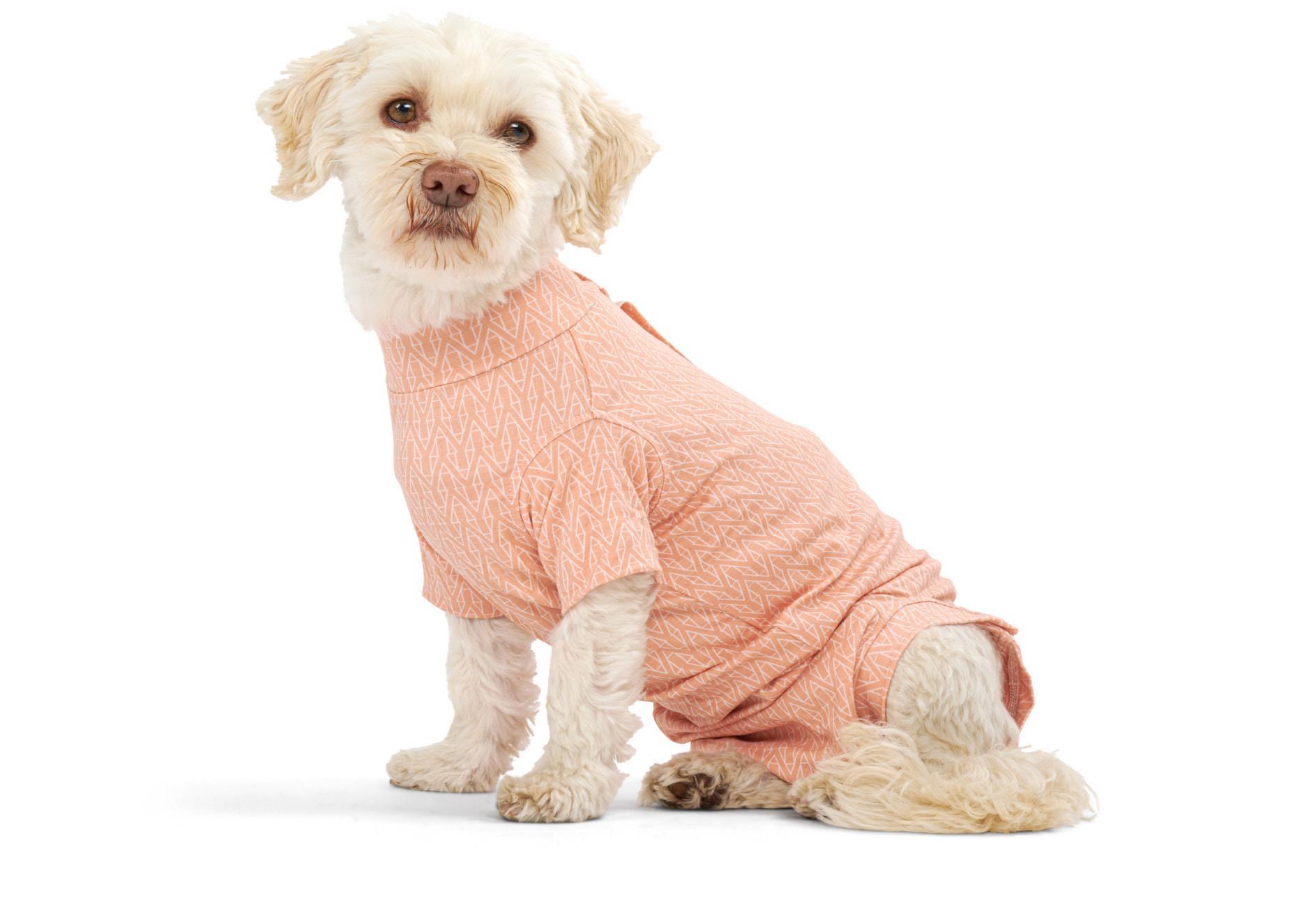 BUSTER Body Suit Step´n Go für Hunde, XS, Peachy Orange